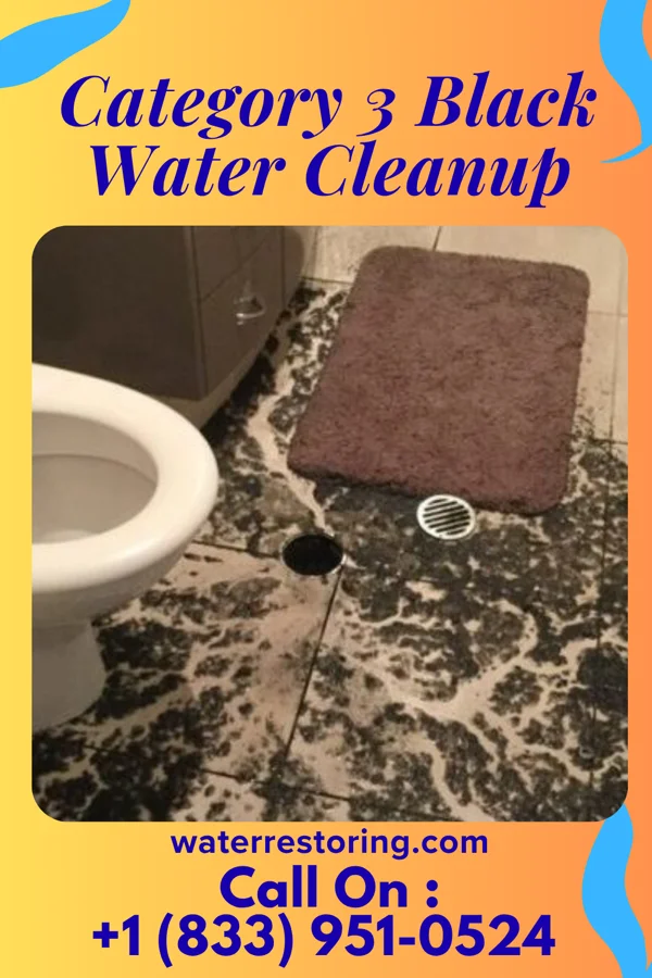 Category 3 Black Water Cleanup in West Logan, OH