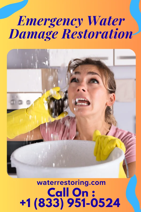 Emergency Water Damage Restoration in West Logan, OH
