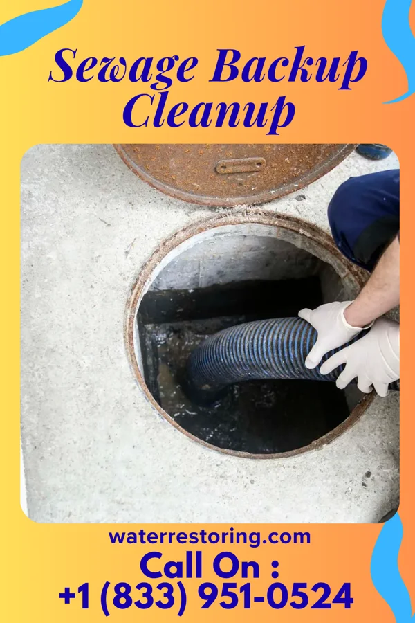 Sewage Backup Cleanup in West Logan, OH