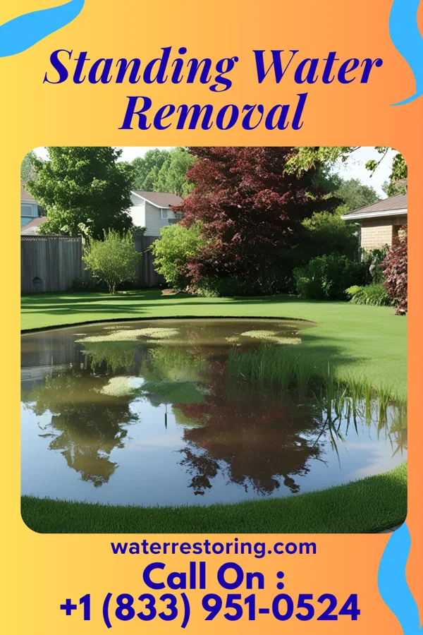 Standing Water Removal in West Logan, OH